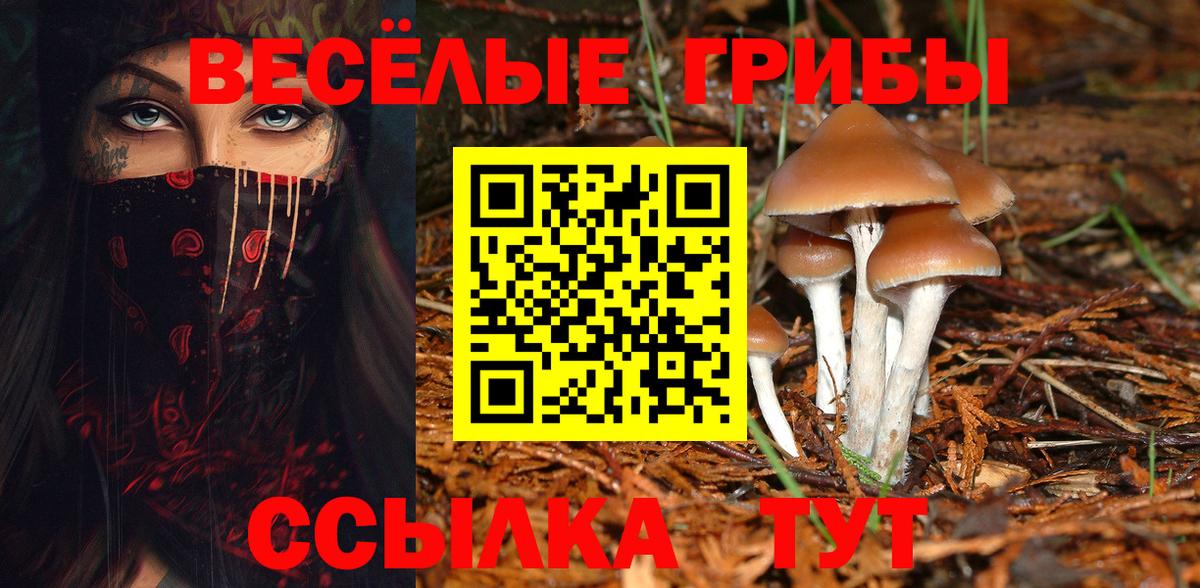 ГАШИШ  Конопля  Канабис  Меф МЯУ МЯУ   Вход с VPN  A PVP СОЛЬ   Красногорск  Вейп ТГК  КОКАИН  Мефедрон  Гашиш 