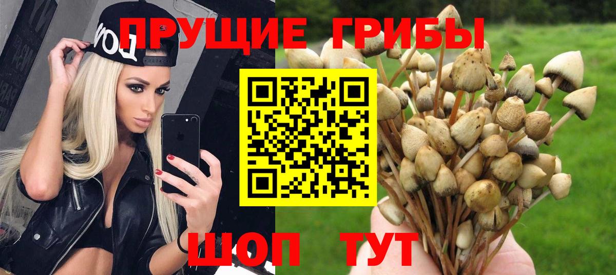 Псилоцибиновые грибы Magic Shrooms  Псилоцибиновые грибы MAGIC MUSHROOMS  Вход с VPN  Красногорск 
